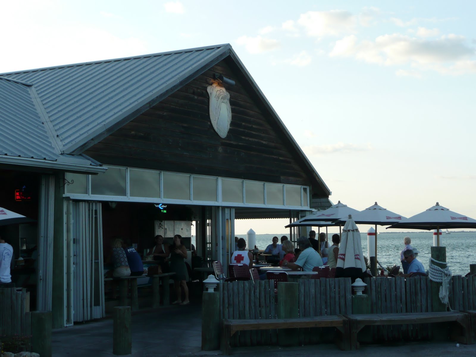PIG OUT SPOTS The Old Salty Dog (Sarasota, FL)