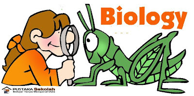 SOAL UKG GURU BIOLOGI SMA / MA