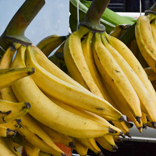 Plantains