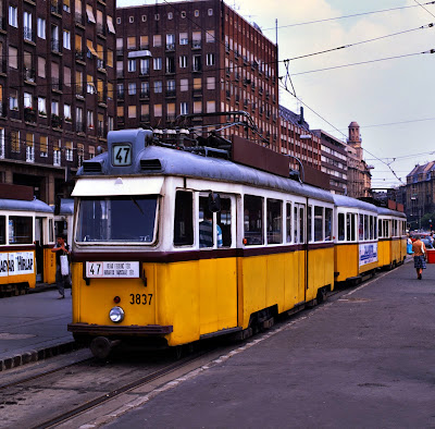 tram%2Bboedapest.jpg