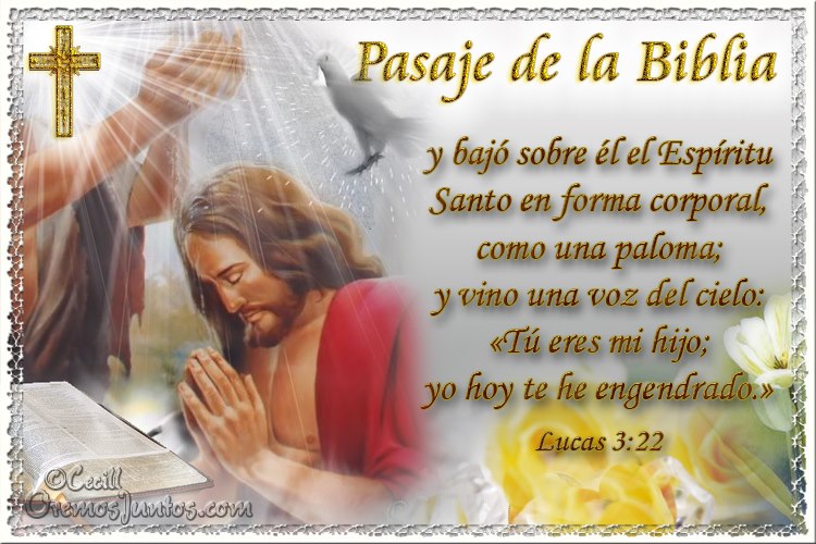 Featured image of post Frases Biblicas Para Bautizo Se or hoy presentamos ante ti a nuestro hijo b alo con tu amor y toma su peque o coraz n con tus en este d a especial recibiste el bautizo que esta luz bendita que hoy te ilumina brille por siempre y te guie