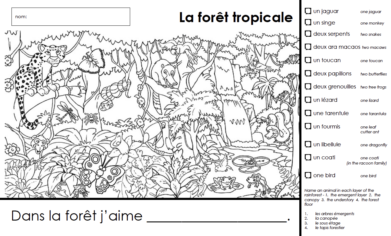 worksheet Rainforest Layers Worksheet madame belle feuille la foraat tropicale rainforest unit k1 find and colour maybe for when work is finished to send home