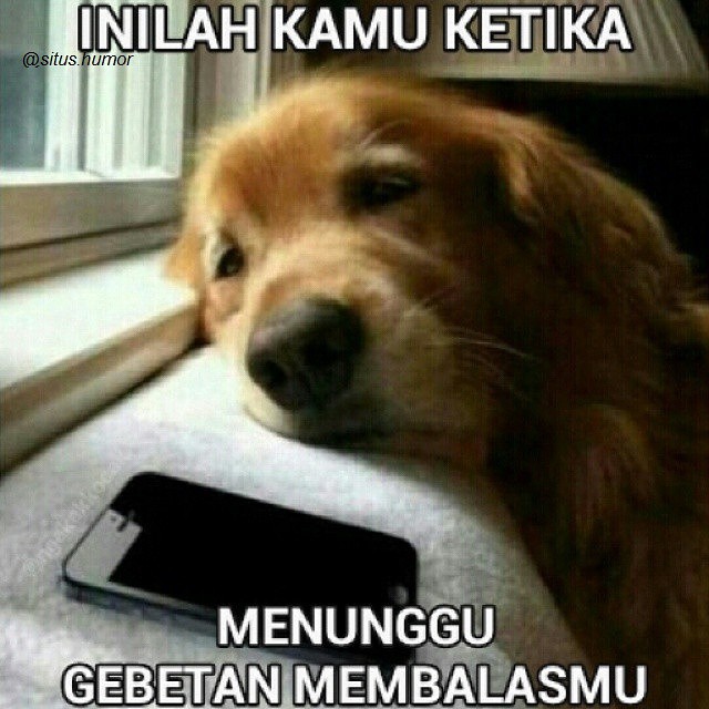 Gambar Foto Kata Kata Kocak Lucu Gokil