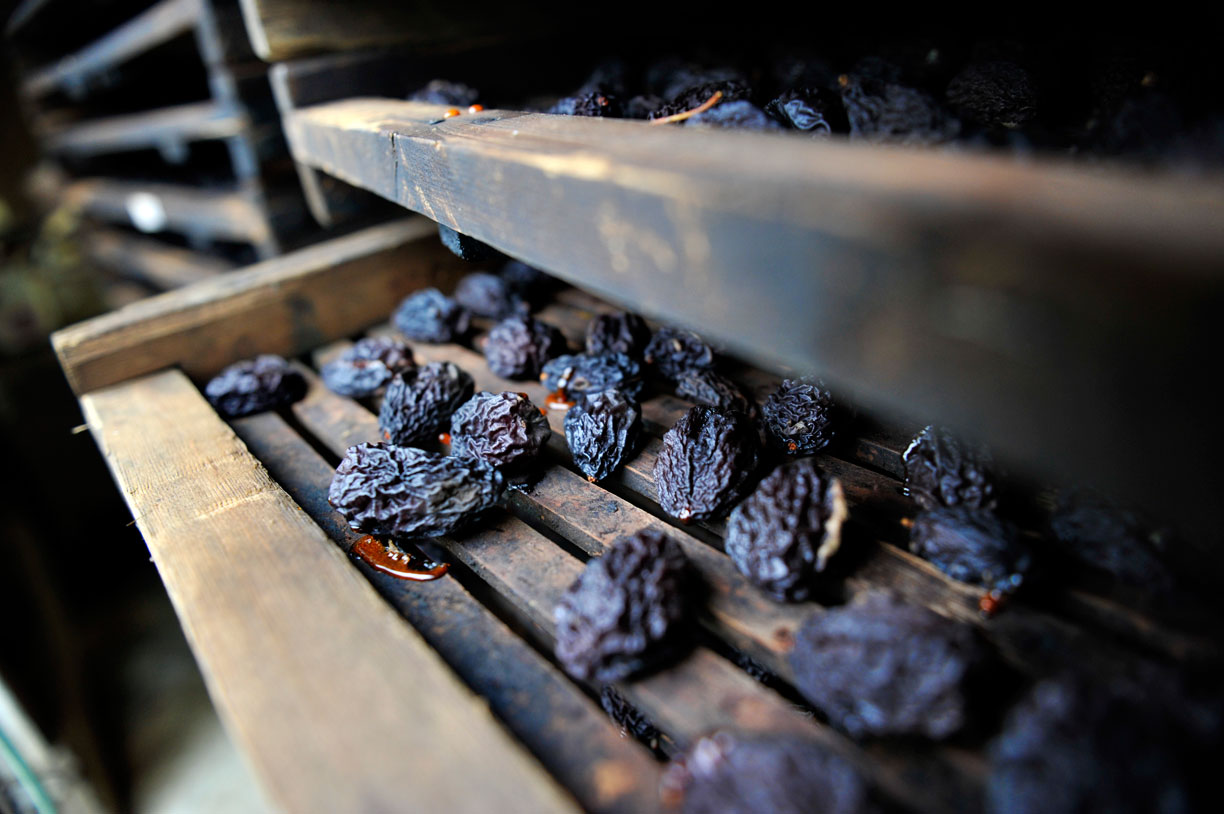 Robin Loznak Photography Roseburg Farmer's Market booth