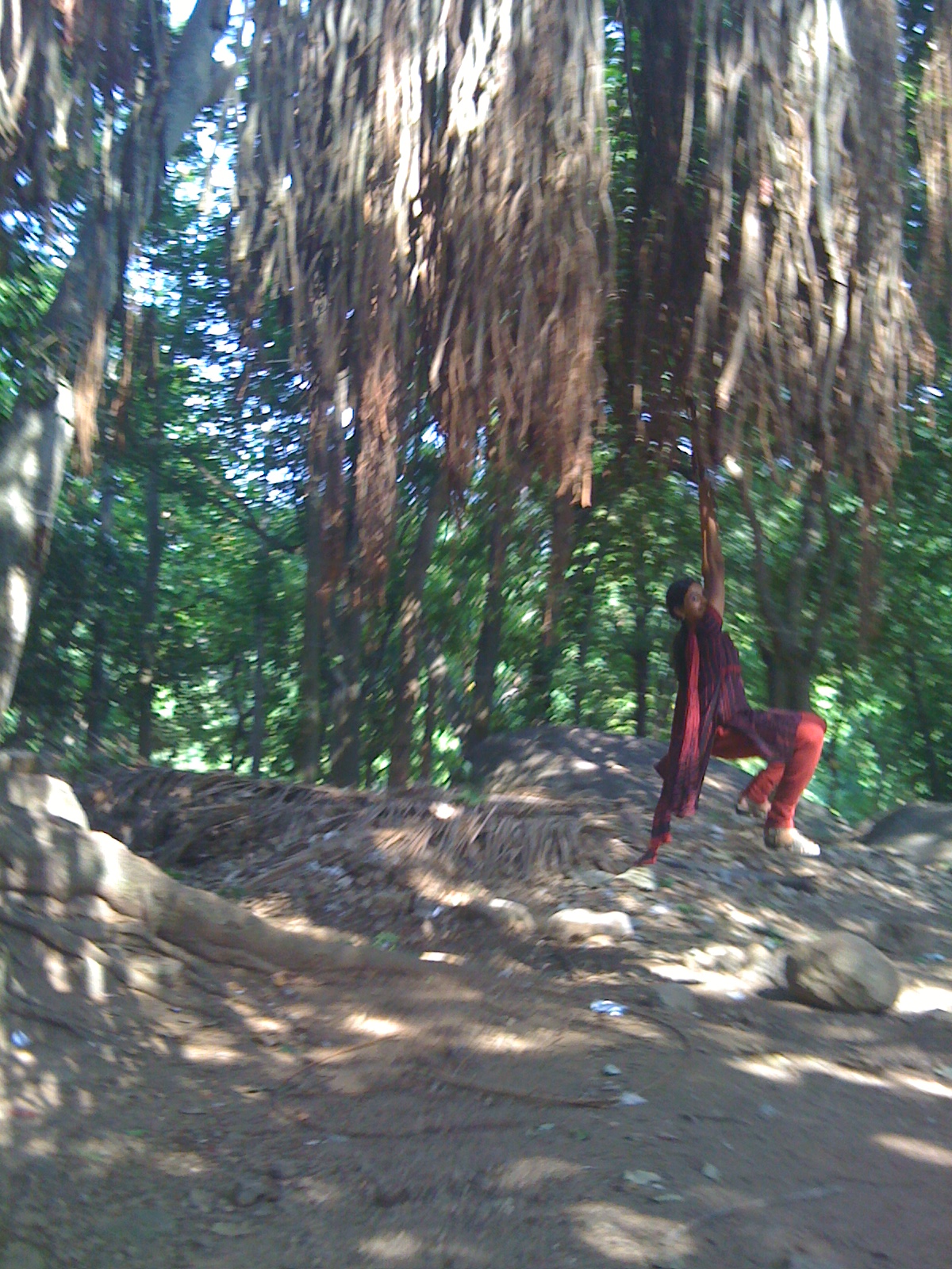 RÃ©sultat de recherche d'images pour "à®à®²à®®à®° à®à®à¯à®à®²à¯"