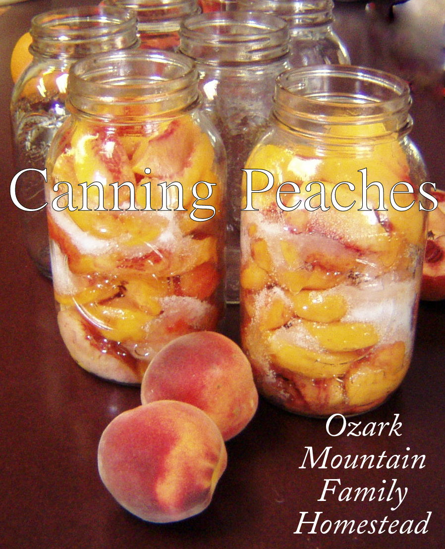 Ozark Mountain Family Homestead Canning Peaches