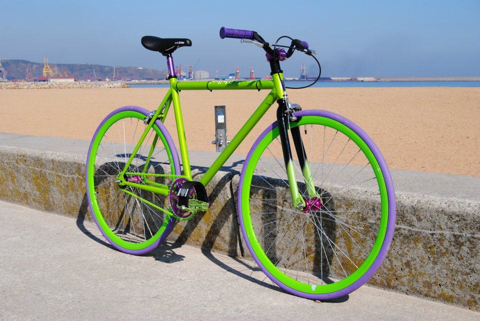 fixie polo and bike