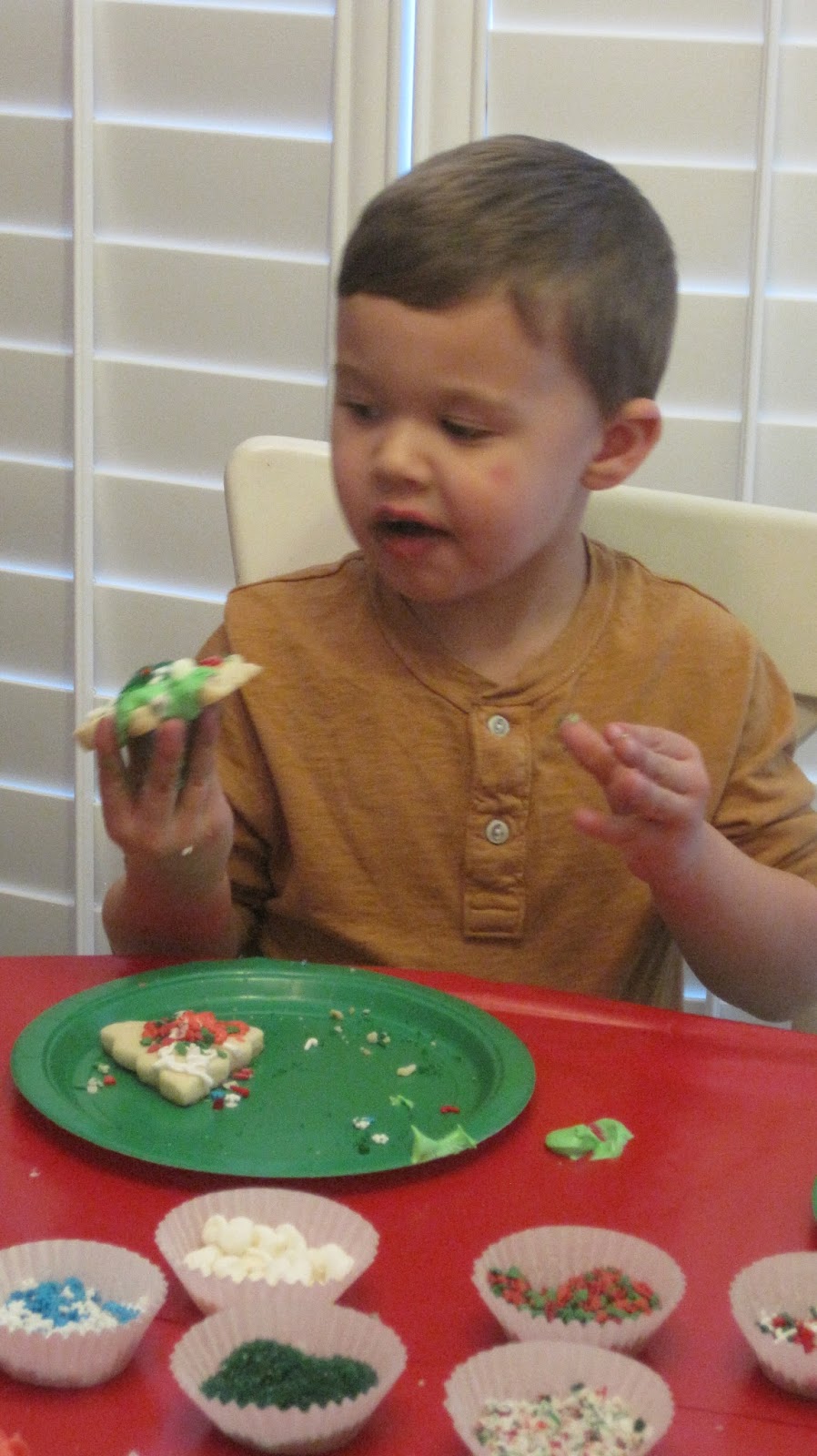 Hosting a Christmas Cookie Workshop!