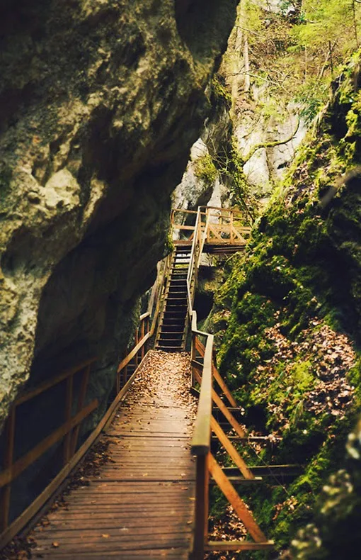 Canyon Stairs, Austria