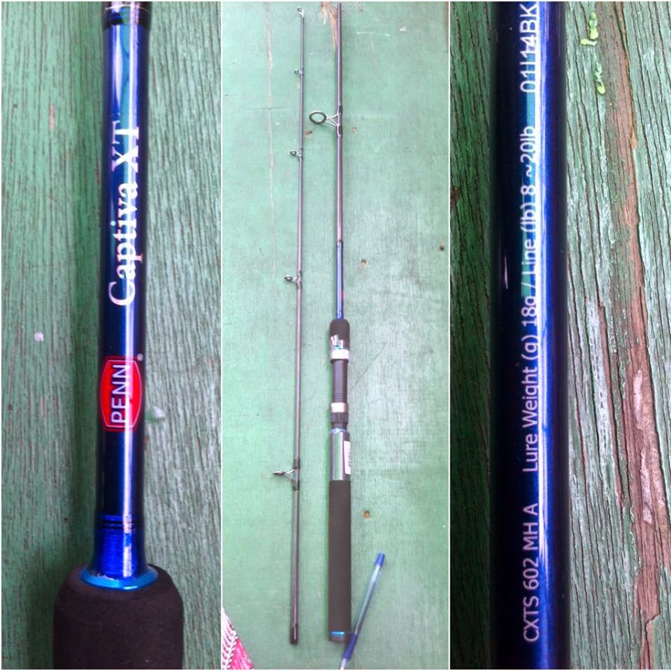 penn captiva rod
