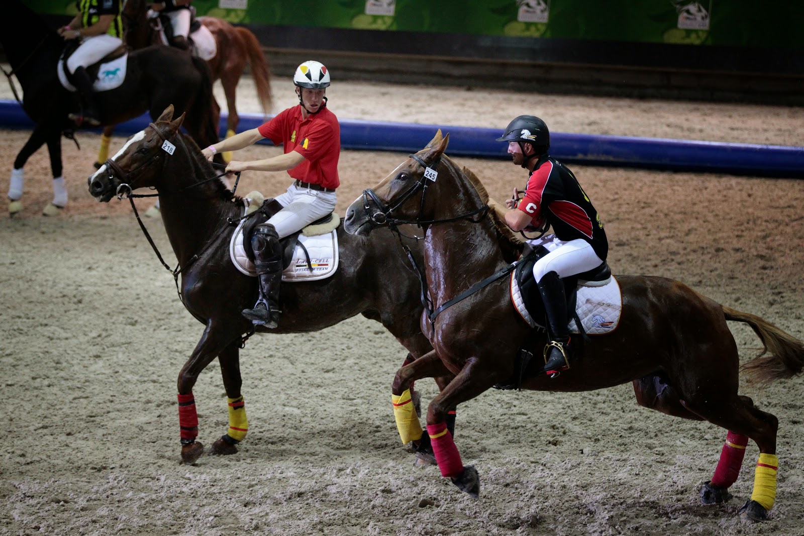 HorseBall game during FEI World Equestrian Games HD Photos