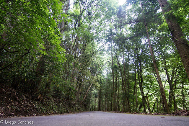 Korankei Park - Toyota Korankei Park em Toyota