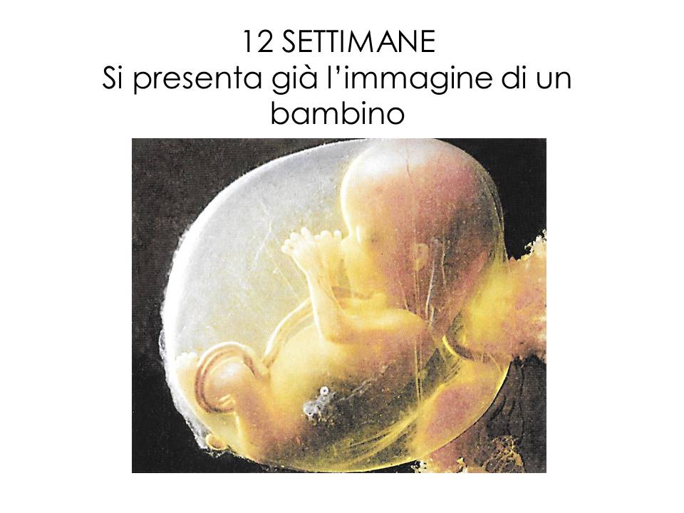 LA NEONATALITà