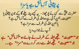 urdu essay mayoosi gunah hai Mayoosi gunah hai essay posted on sunday february 11th, 2018 so yesterday i spent the entire day finishing my essay on simone de beauvoir. urdu essay mayoosi gunah hai Mayoosi gunah hai essay posted on sunday february 11th, 2018 so yesterday i spent the entire day finishing my essay on simone de beauvoir.