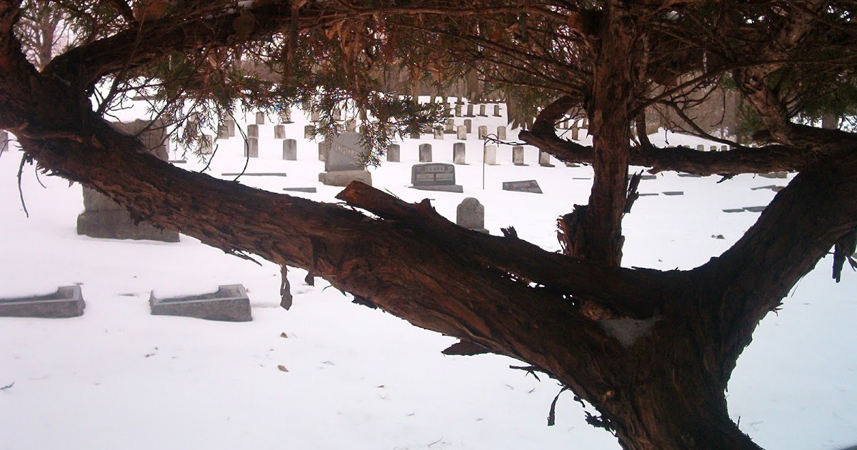 A Grave Interest Cemeteries Worth the Visit Highland Lawn Cemetery