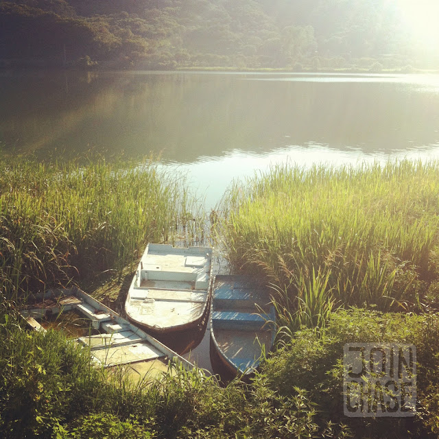 Abandoned Boats Three abandoned boats in weeds along the Han River in South Korea.