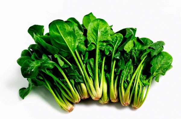 Receitas de espinafre. Como preparar espinafre