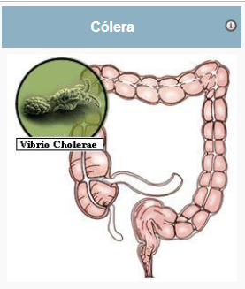 Prevención de enfermedades infectocontagiosas: ¿Cómo podemos prevenir