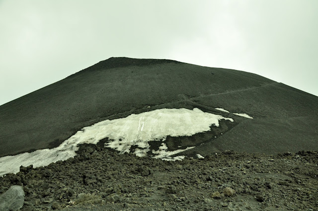 _DSC0995.JPG