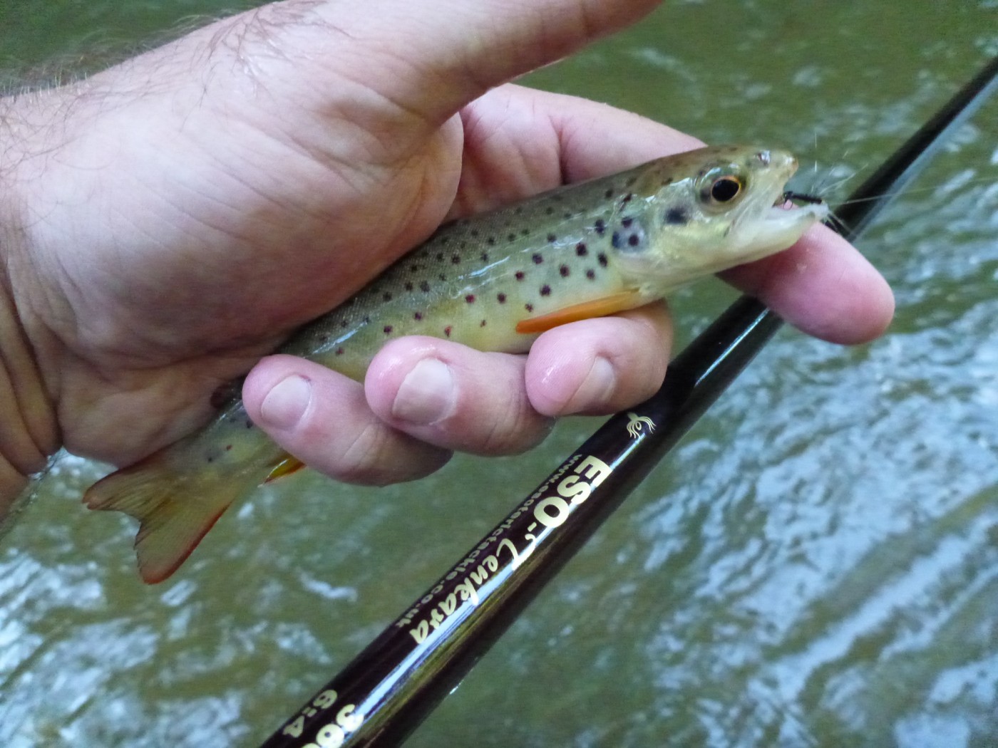 Troutrageous! Fly Fishing & Tenkara Blog Tenkara Tuesday (Gear Review