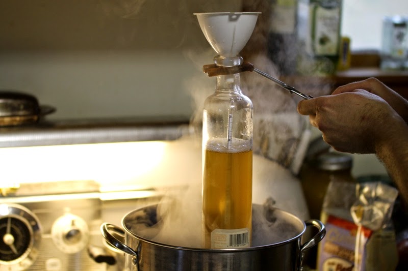 testing maple syrup