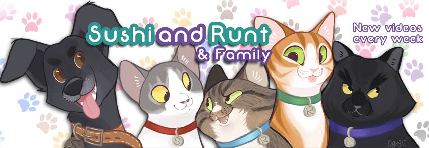 Sushi and Runt's Cat and Dog Blog !