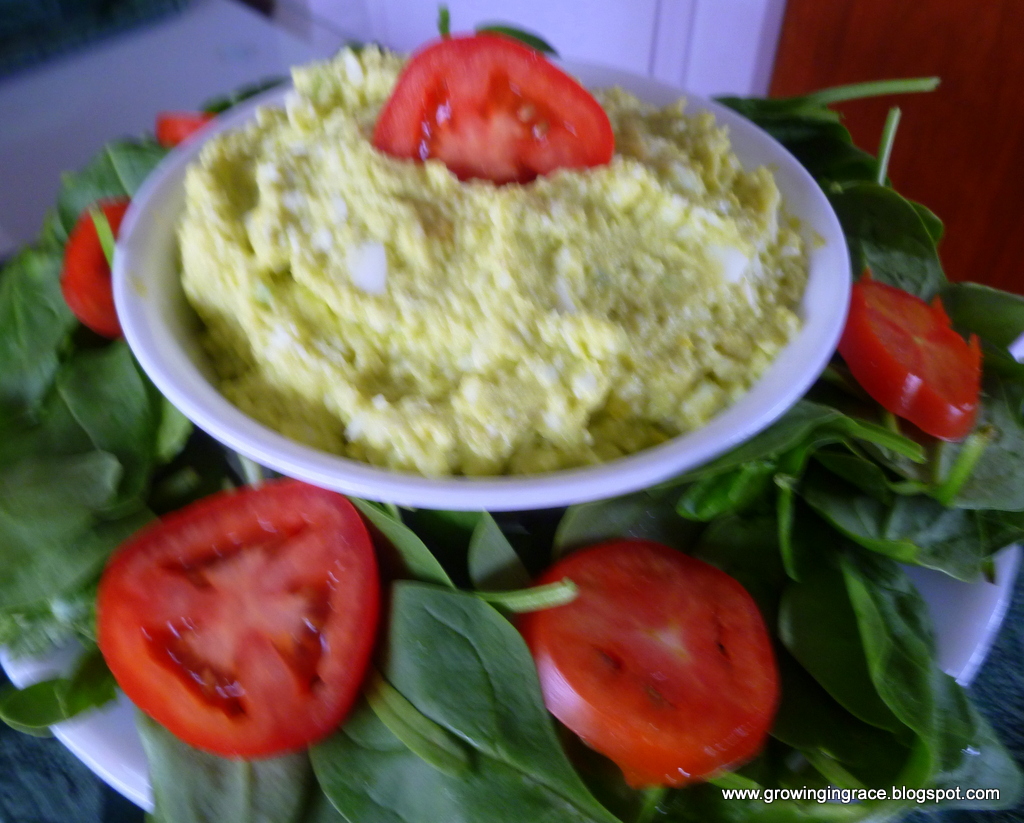 Growing in Grace Greek Yogurt Egg Salad with Avocado
