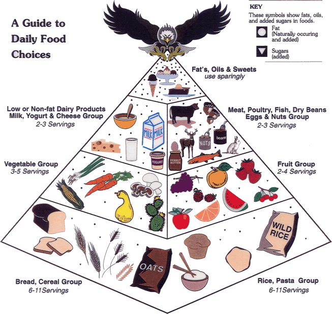 kids food groups physical food pyramid for children. kids food groups physical