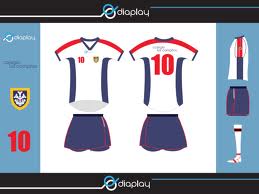 indumentaria para voleibol