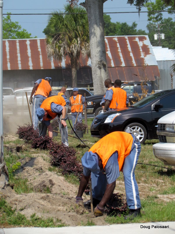 Roving Reports by Doug P 201113 Mayo Florida