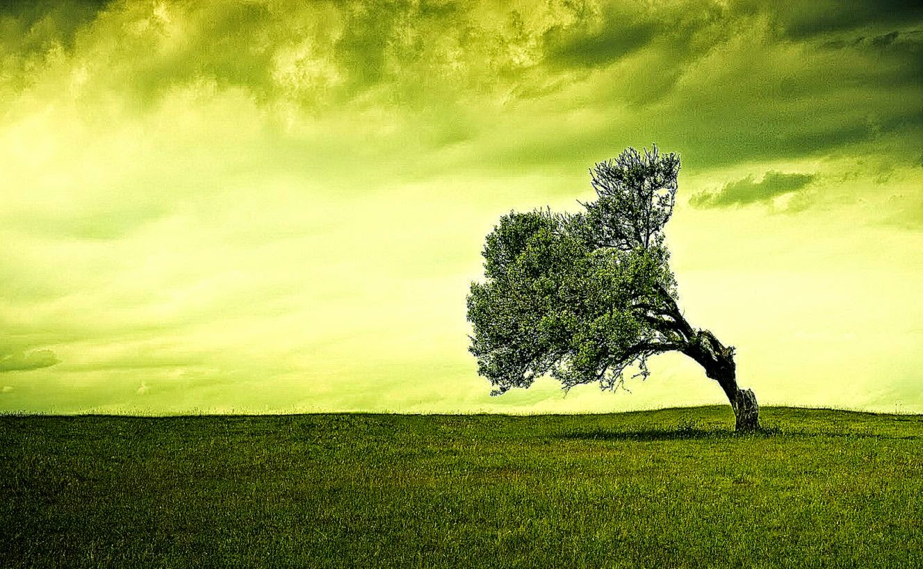 Laptop HD Wallpapers HD Wallpapers Inn Laptop HD Wallpapers HD Wallpapers Inn