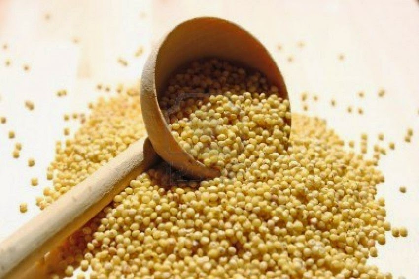 cook & LOVE MILLET O que é, como utilizalo + Receitas