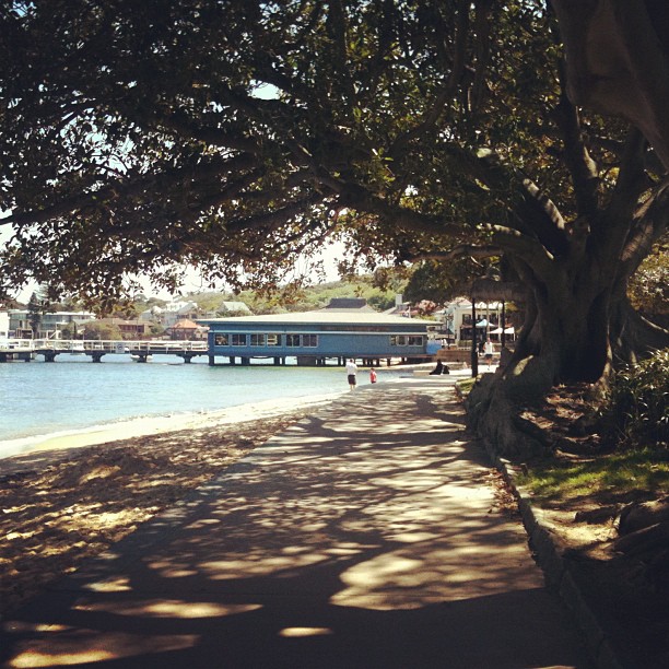 Best for Breakfast Sydney Tea Gardens Watson's Bay