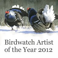 Birdwatch Artist of the Year 2012