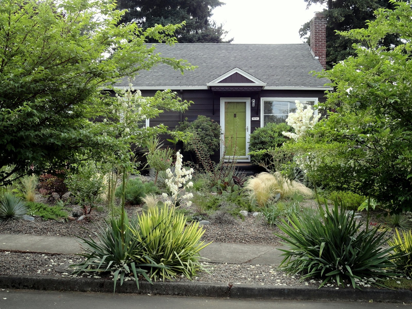 Front Yard Without Grass - Elegance Dream Home Design