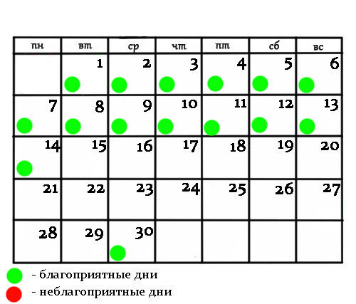 Как узнать подойдёт ли тебе короткая стрижка Как узнать подойдёт ли тебе короткая стрижка