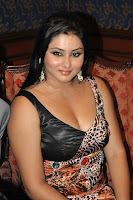 Namitha Hot Transparent Saree Stills