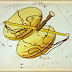 Horoscop Balanta februarie 2015