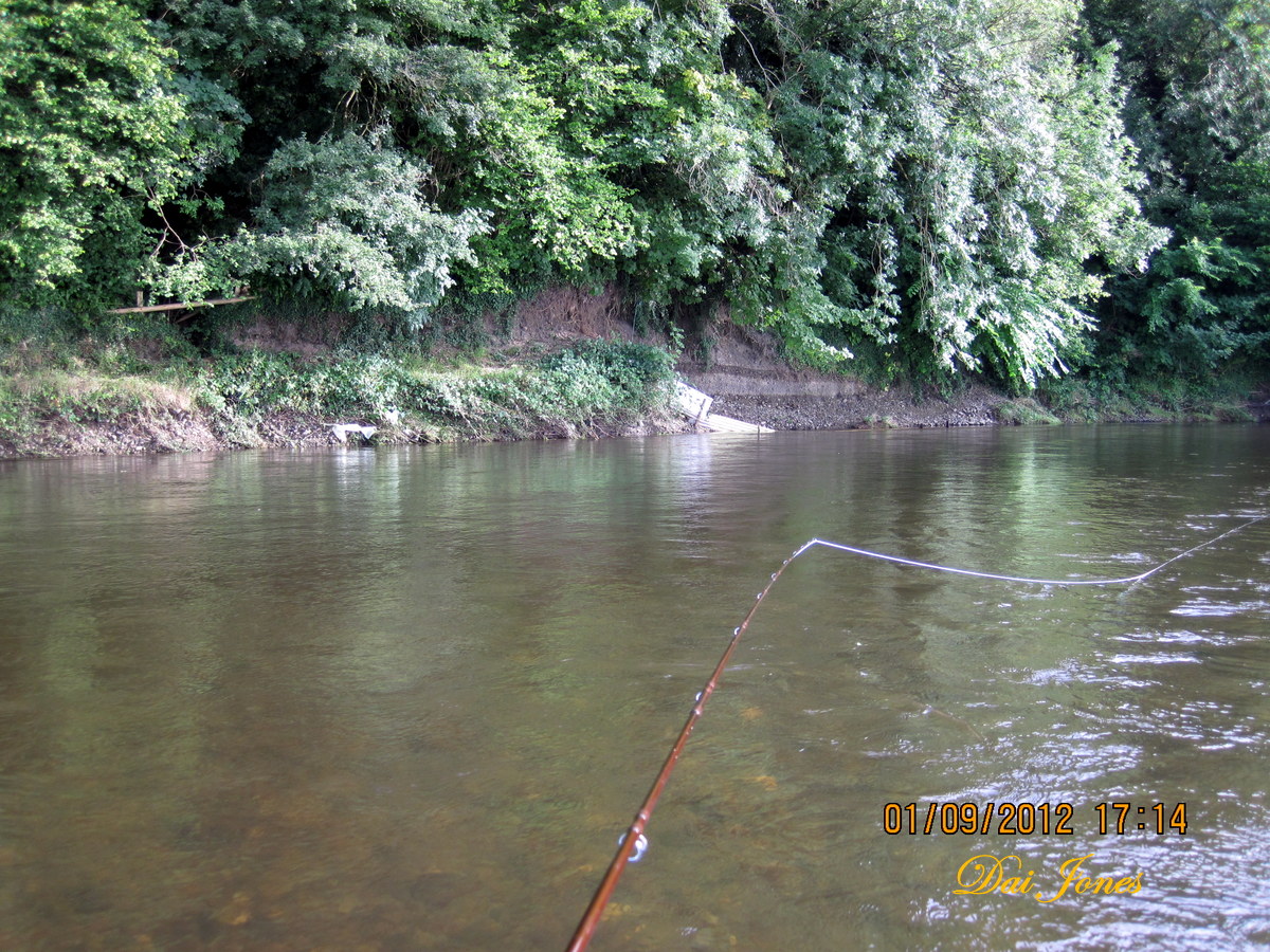 daijones flies an afternoon on river towy daijones flies an afternoon on river towy