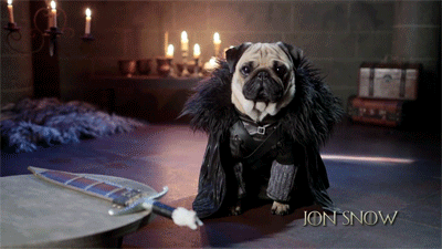 Game of Pugs