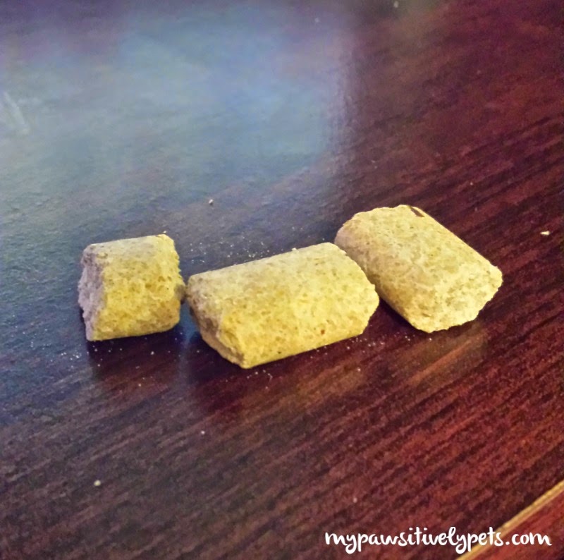 What Kind of Foods Do Pet Rats Like to Eat? Pawsitively Pets