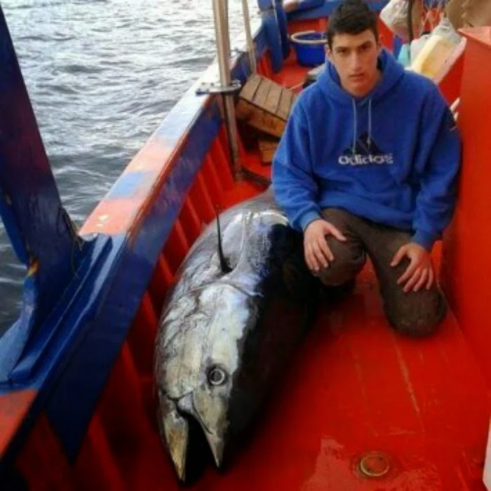 Εύβοια: Σήκωσε τα δίχτυα του και είδε αυτό το ψάρι - Δεν πίστευε στα μάτια του ο 17χρονος ψαράς (ΦΩΤΟ)