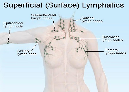 SAN DIEGO LYMER: Pain in areas of lymph nodes diagram of chest pain 