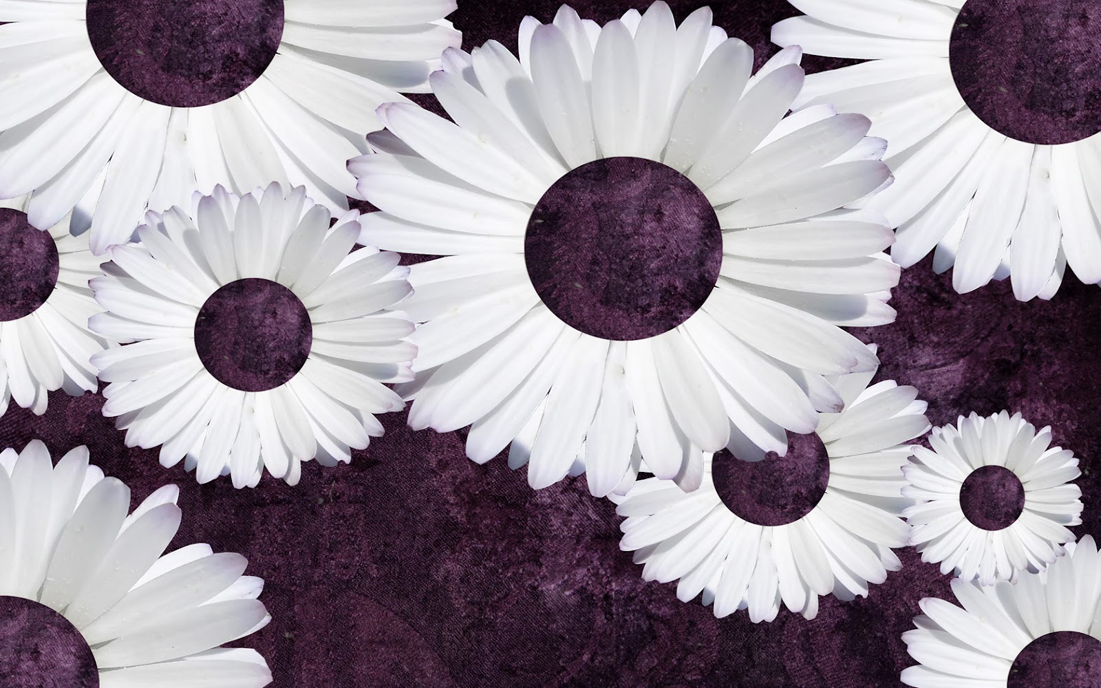 Blue And White Flowers Tumblr Blue And White Flowers Tumblr