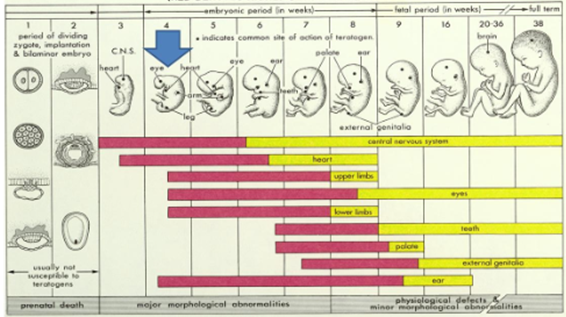 Metformin and weight loss with pcos, average glucose