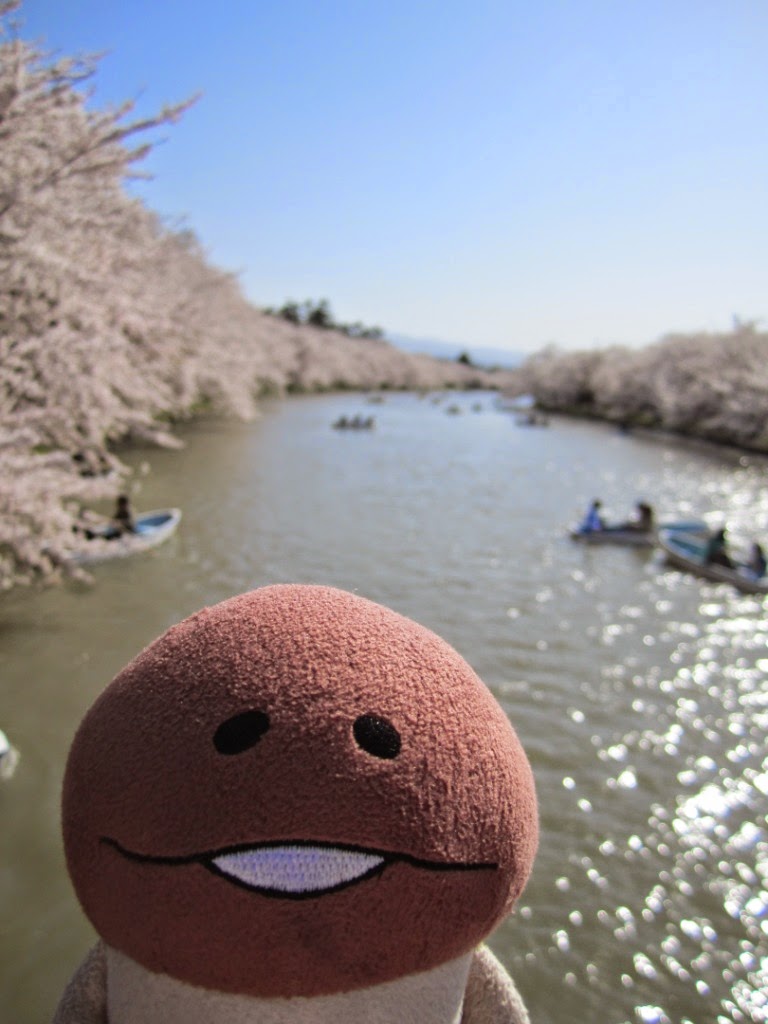 Hirosaki Castle Park West Moat Hirosaki Castle Park West Moat 弘前公園 西濠