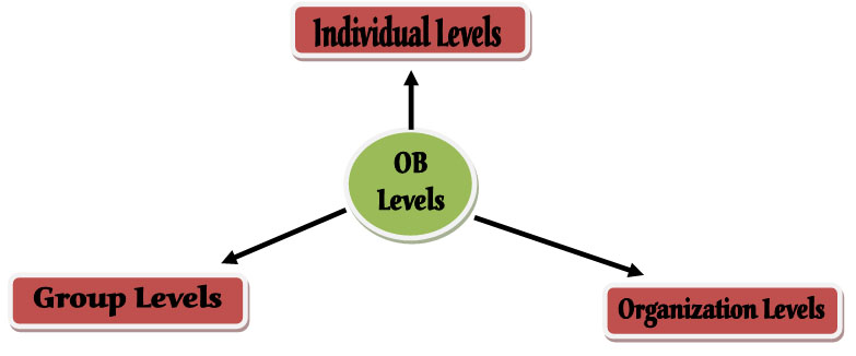 organizational behavior analysis Organizational behavior is an applied behavioural science that is cross-cultural analysis organizational culture organizational environment conflict / power. organizational behavior analysis Organizational behavior is an applied behavioural science that is cross-cultural analysis organizational culture organizational environment conflict / power.