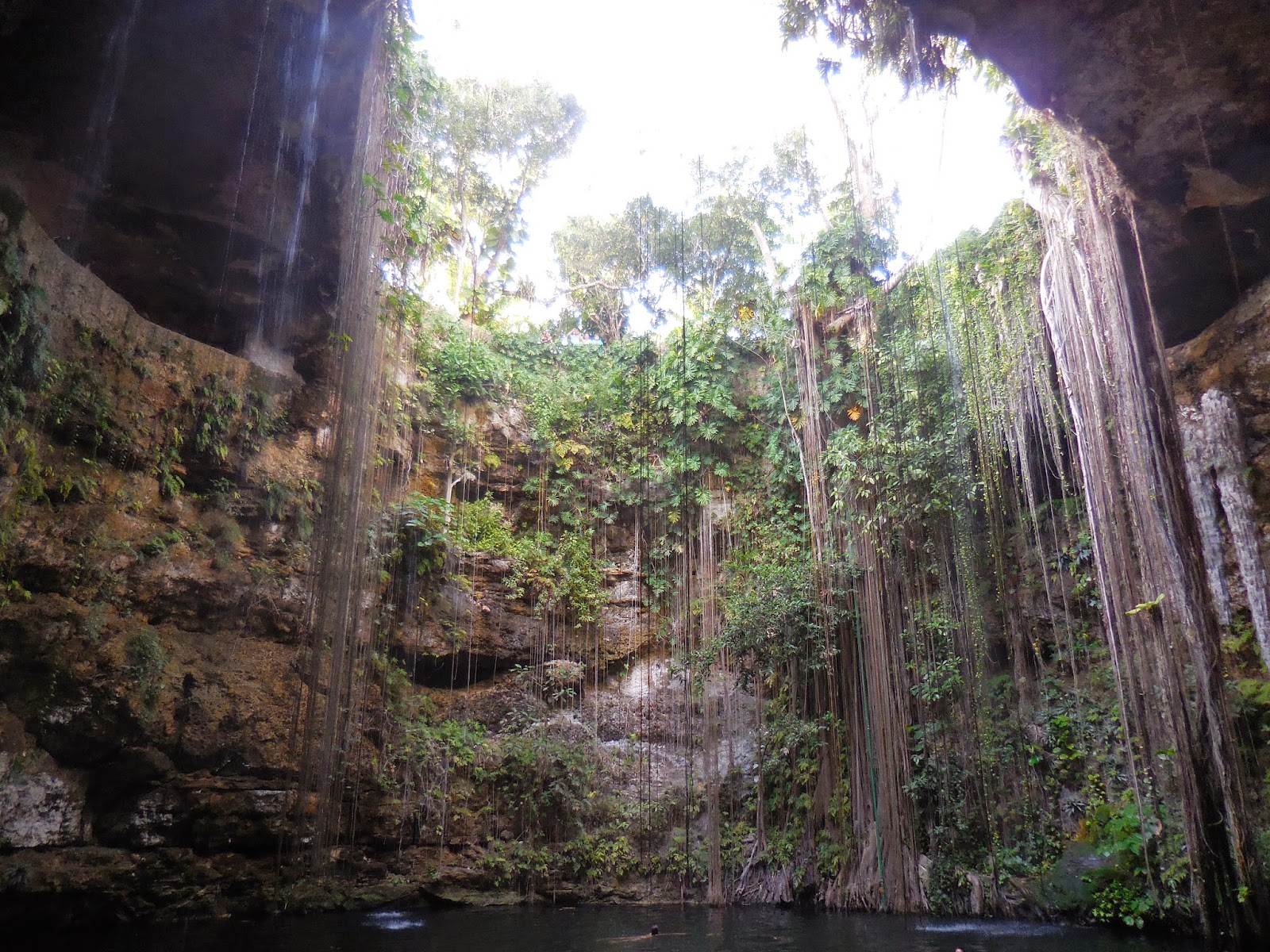 la rencontre chemin qui se fait en marchant