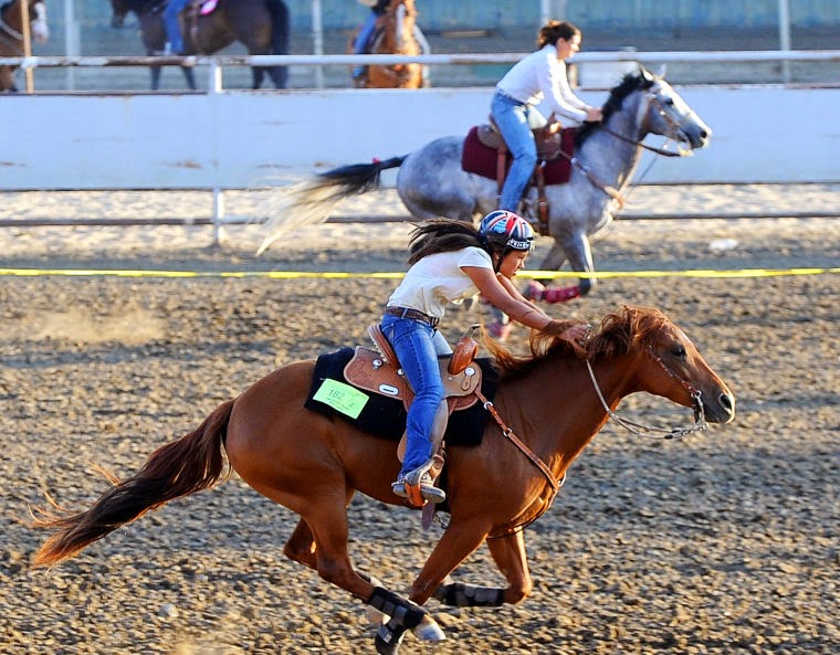 Buckaroo Leather Horse Tack, Use, Care and Maintenance Gymkhana a