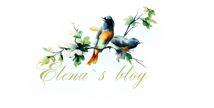 Elena`s Blog